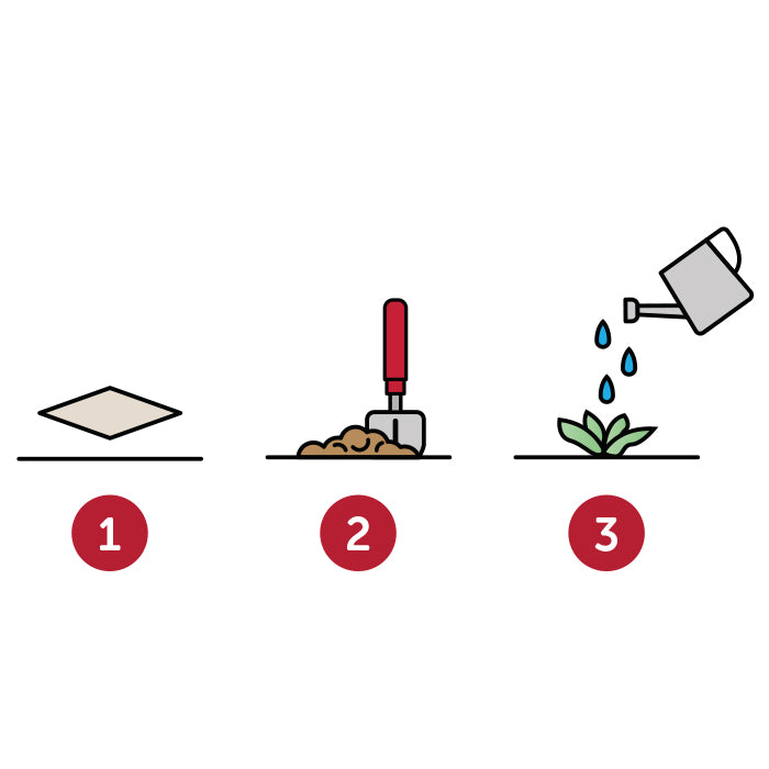 FirstGreen Eco Merchandising Ecologico y Regalo de Empresa Personalizado