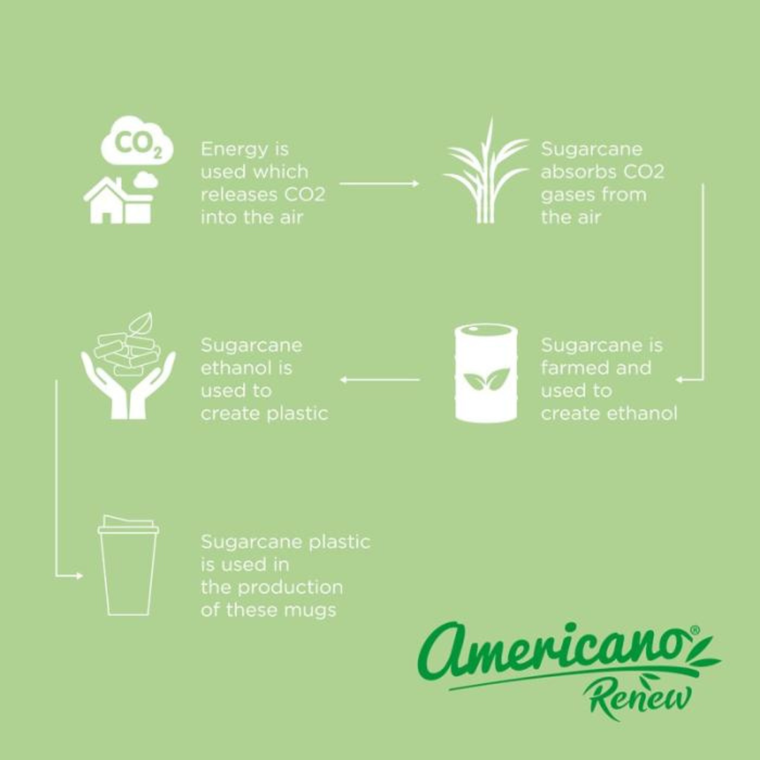 FirstGreen Eco Merchandising Ecologico y Regalo de Empresa Personalizado