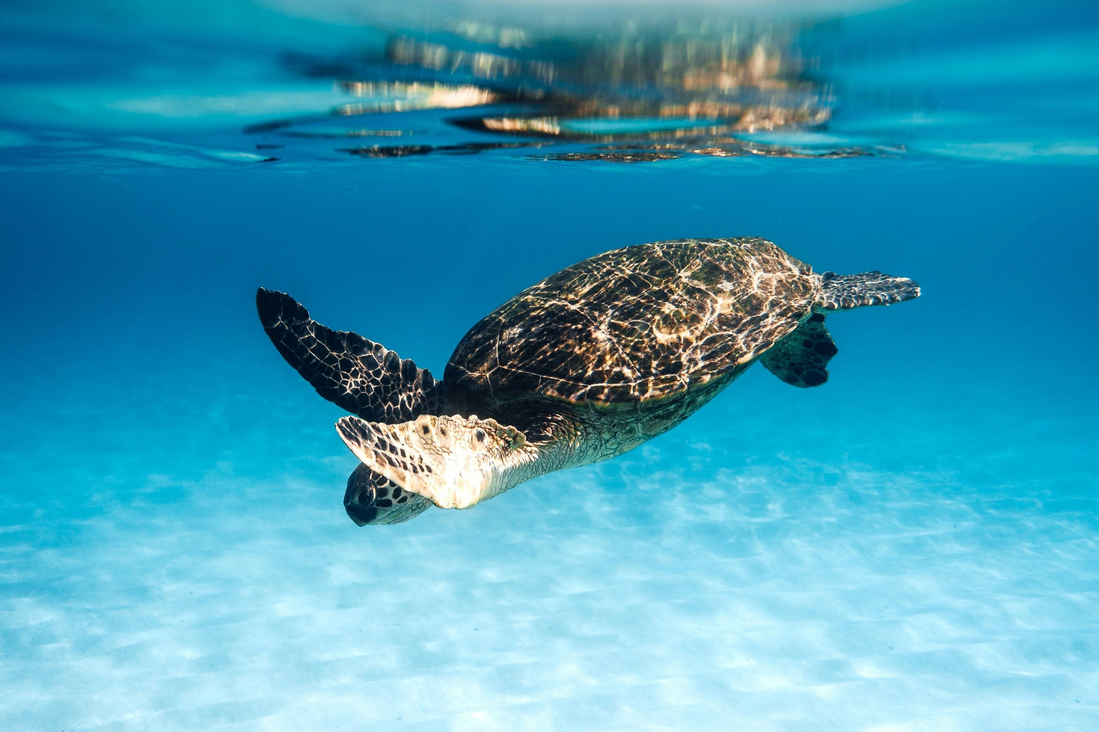 Merchandising ecológico fabricado con plástico reciclado certificado RCS para empresas sostenibles