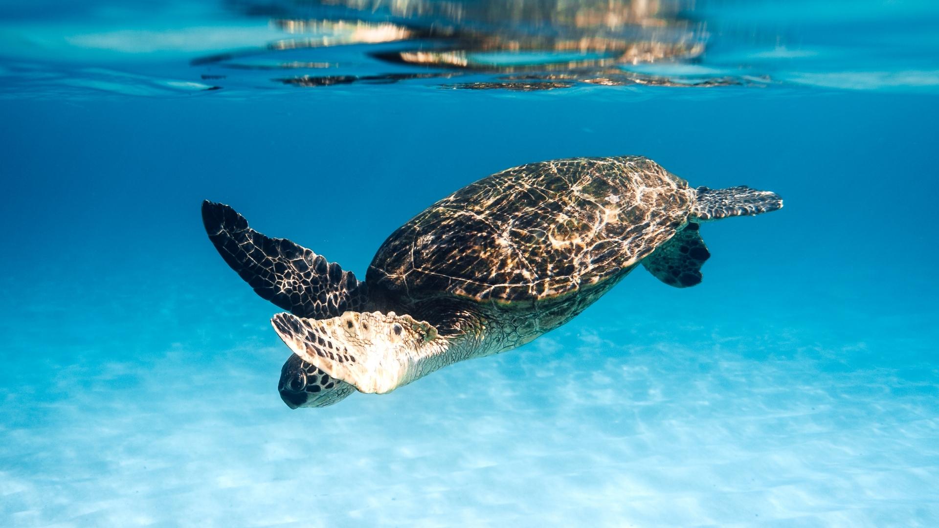 Merchandising ecológico fabricado con plástico reciclado certificado RCS para empresas sostenibles