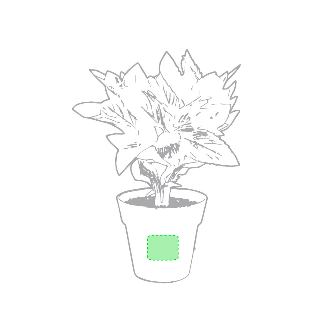 FirstGreen Eco Merchandising Ecologico y Regalo de Empresa Personalizado