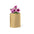 Flowerpot in a Paper Envelope to Personalize with Petunia Seeds and Assorted Colors Sober