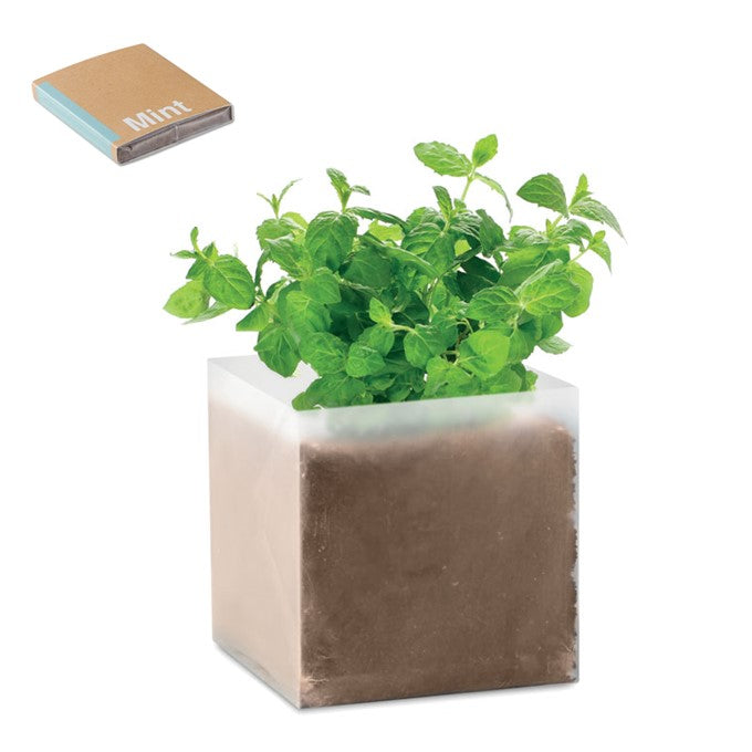 FirstGreen Eco Merchandising Ecologico y Regalo de Empresa Personalizado