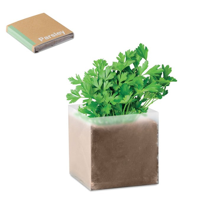 FirstGreen Eco Merchandising Ecologico y Regalo de Empresa Personalizado