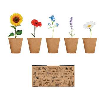 Kit para Cultivo de Flores para Personalizar Especial Regalo de Empresas y Eventos Flowers