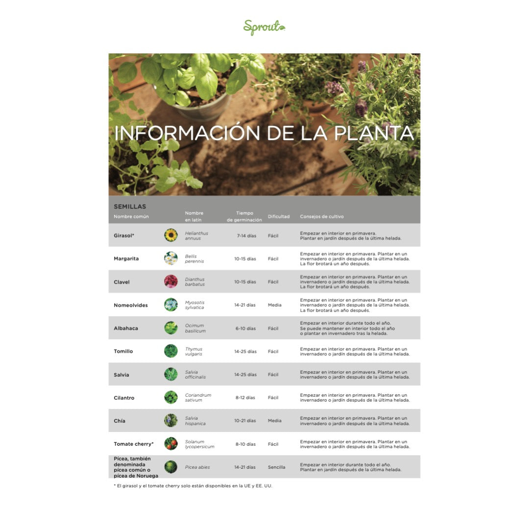 Lápiz con Semillas con Cuerpo de Madera Prodedente de  Bosques Sostenilbles para Personalizar a Láser y Cartón FSC Sprout™