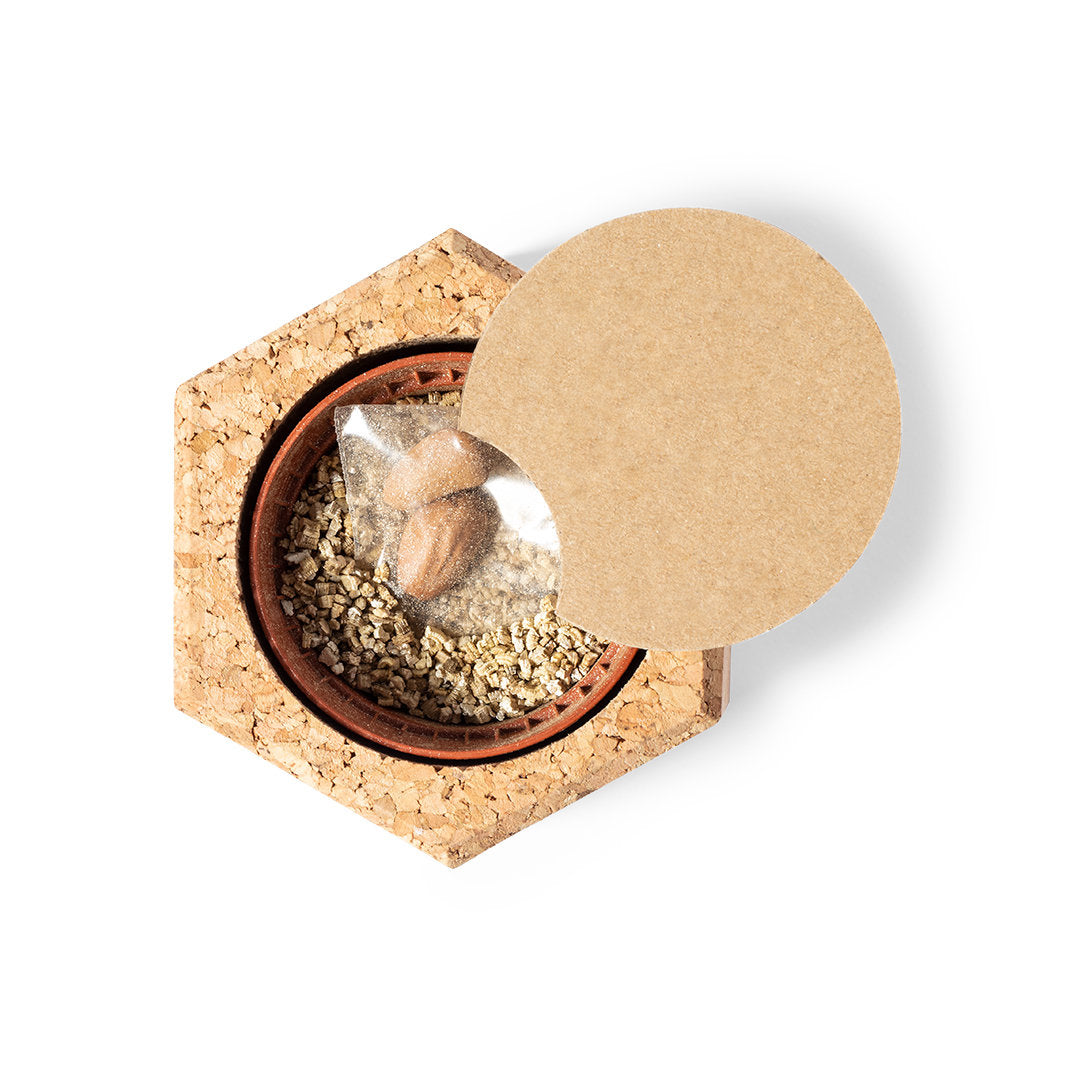 FirstGreen Eco Merchandising Ecologico y Regalo de Empresa Personalizado