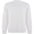 Sudadera Ecológica 60% Algodón Orgánico y 40% Poliéster Reciclado Personalizable Batian 300 gr/m²