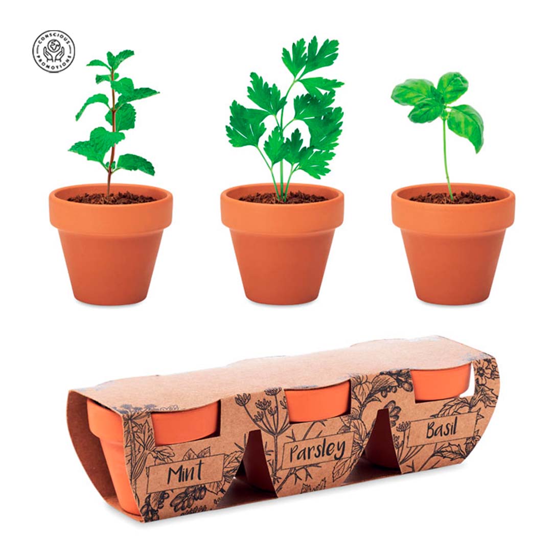 FirstGreen Eco Merchandising Ecologico y Regalo de Empresa Personalizado